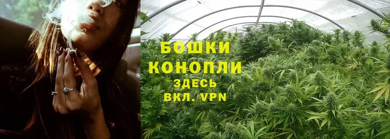 Шишки марихуана OG Kush  нарко площадка состав  Зарайск 